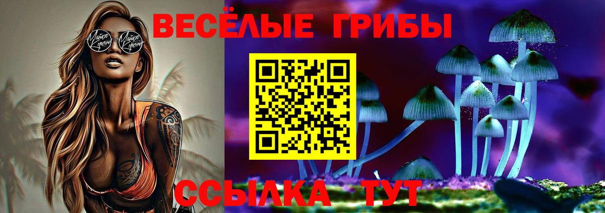 Псилоцибиновые грибы мухоморы  Вход с VPN  сколько стоит  Галлюциногенные грибы Cubensis  Донской 